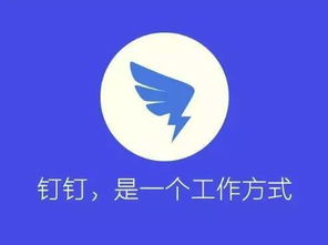 科技与金融的双重奏 网易养猪众筹与阅文上市背后的公关逻辑